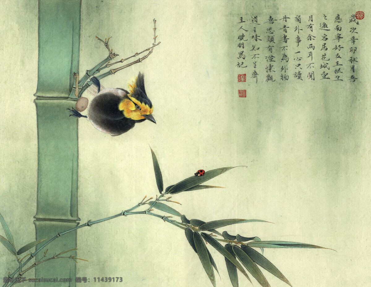 李晓明 工笔 花鸟 高清 图 工笔画 字画 国画 走廊挂画 客厅挂画 教室挂画 花鸟画 工笔花鸟 工笔国画 工笔荷花 工笔画欣赏 工笔画素材 文化艺术 绘画书法 高清工笔画 风景