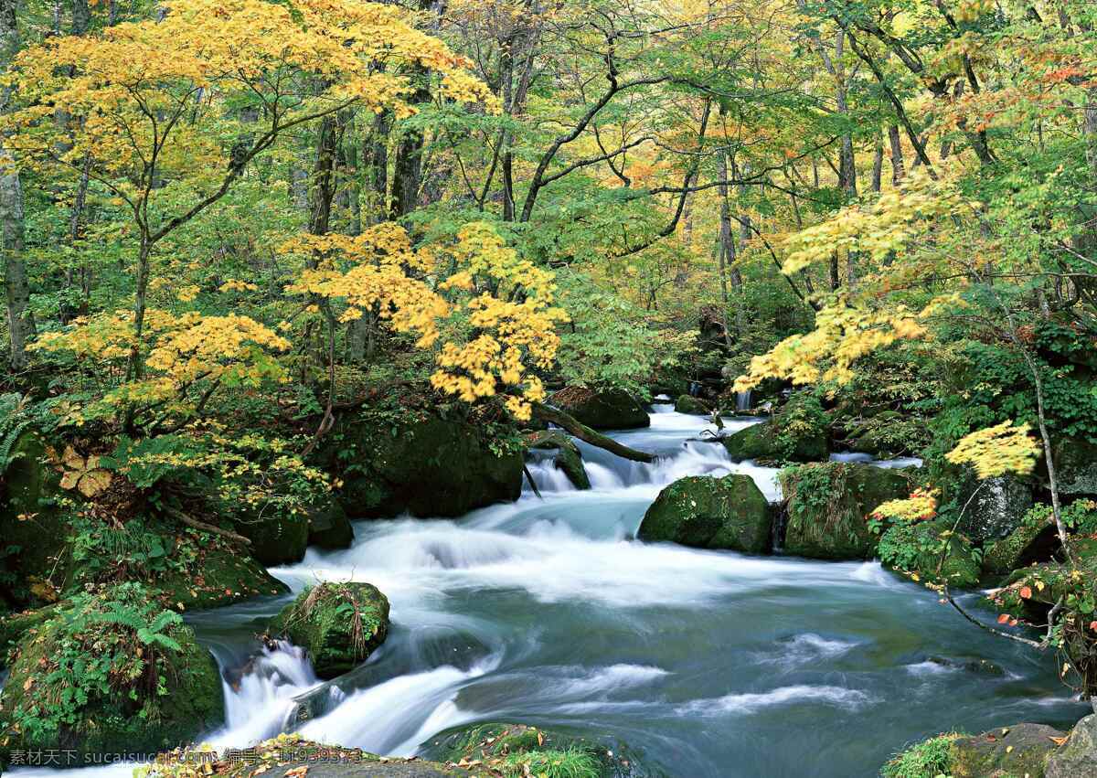 自然 山水 河流 树木 美景 自然风景 自然景观
