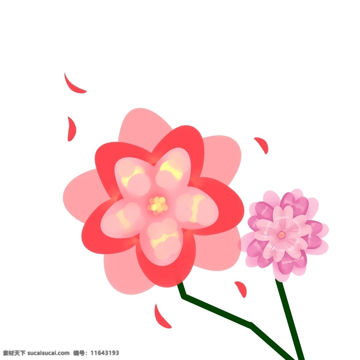 漂亮 粉色 樱花 插画 红色樱花 日本樱花 花朵 唯美樱花 花儿 樱花插图 漂亮的樱花 插图