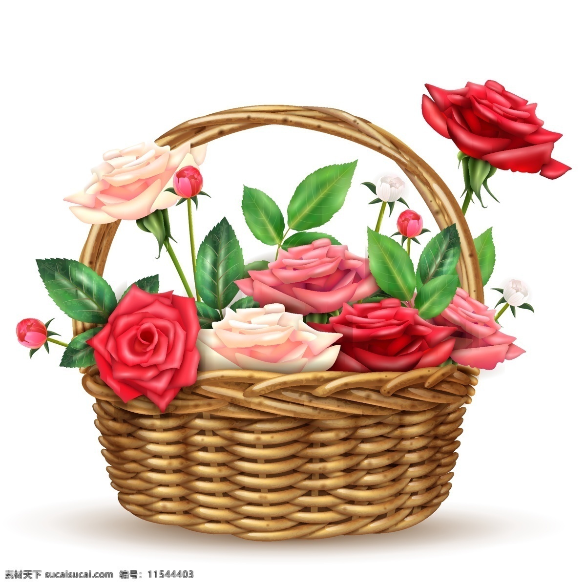 花篮 玫瑰 月季 花卉 鲜花 篮子 罗期花 玫瑰花 花朵 绿叶 设计素材 背景图片 海报 封面 手绘 手绘玫瑰 花 植物 生物世界 花草