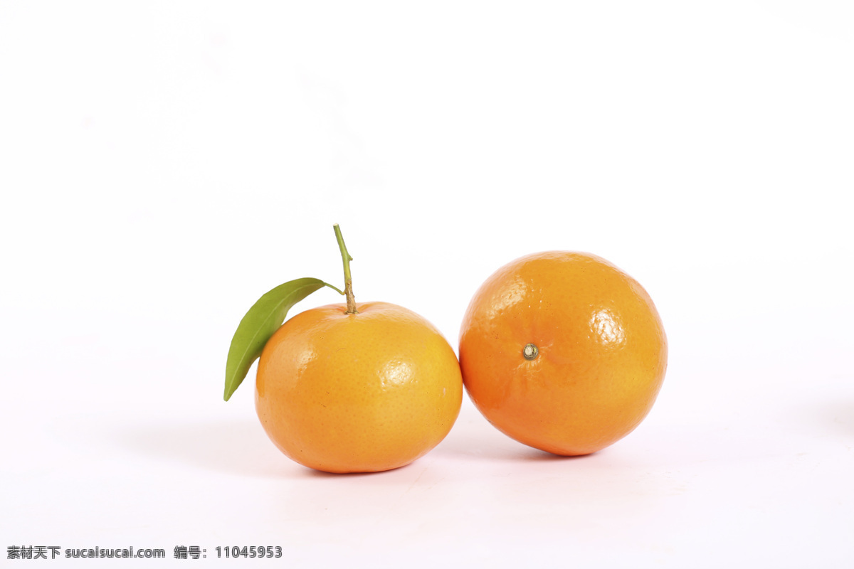 橘子 水果 蜜糖橘 美食 生物世界
