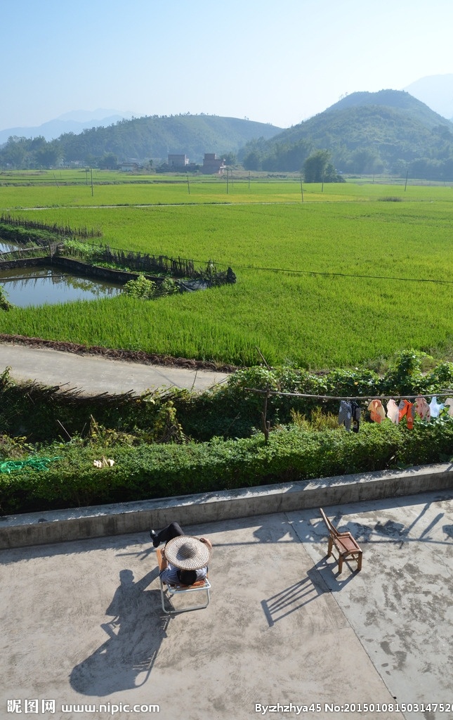 乡村风光 田园 绿色 广东 河源 龙川 稻田 植物 水稻 禾苗 南方 农村 风景名胜 自然景观 田园风光