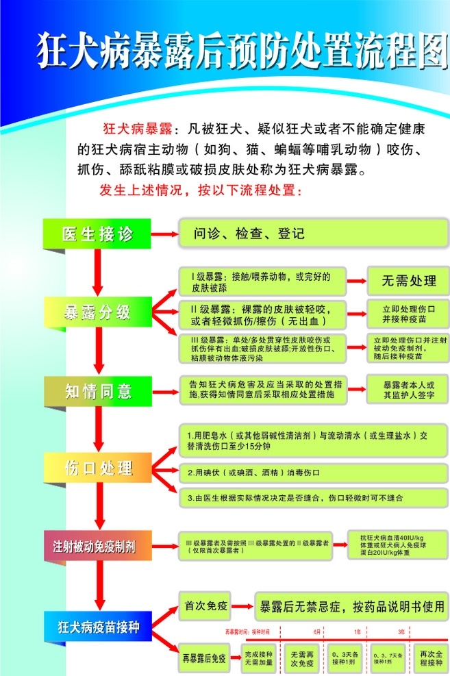 狂犬流程图 疫苗 流程图 医院 疾控 防疫