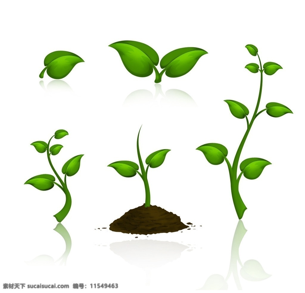 生命绿芽 幼苗 绿芽 发芽 小苗 绿苗 植物幼苗 嫩芽 土壤 土 新生命 水 绿色 成长 呵护 生命 泥土 培育 生物世界 分层 源文件