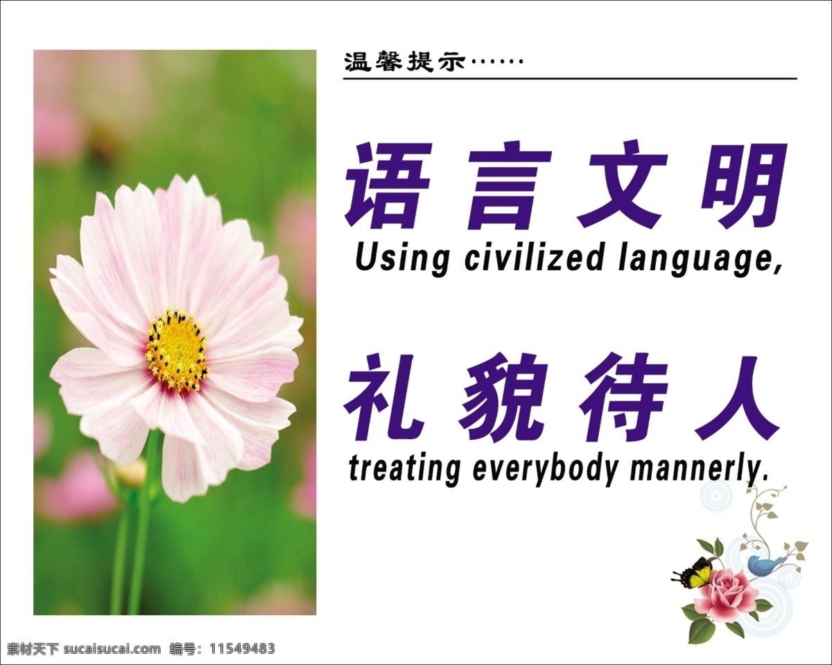 语言文明 礼貌待人 英语 温馨提示 小菊花 花 鸟图片 分层 源文件