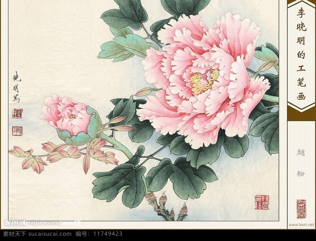 牡丹赵粉 牡丹图 文化艺术 绘画书法 设计图库 300