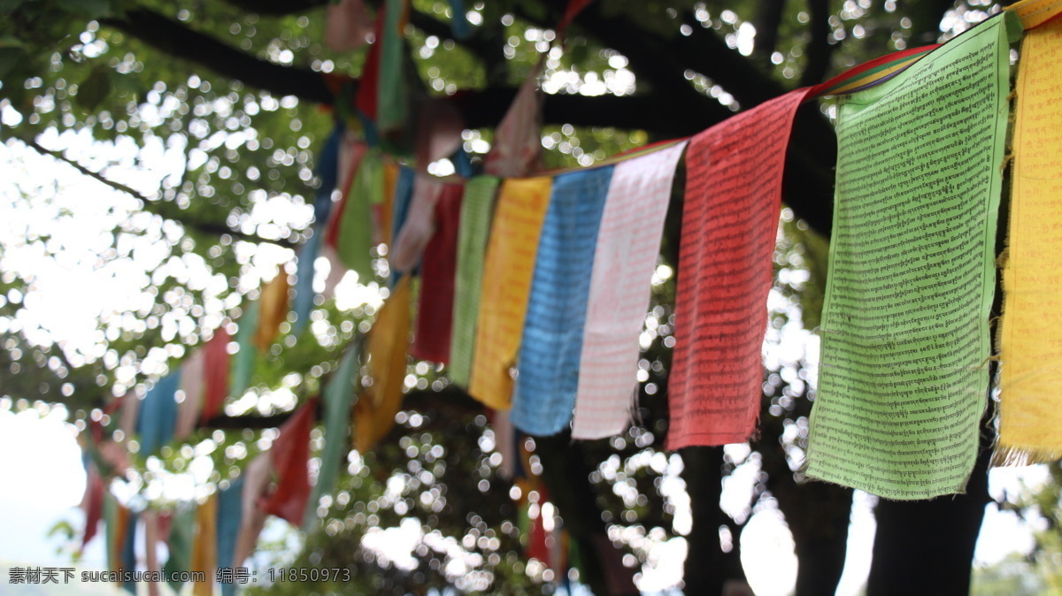 经幡 泸沽湖 经幡近照 风景 藏区