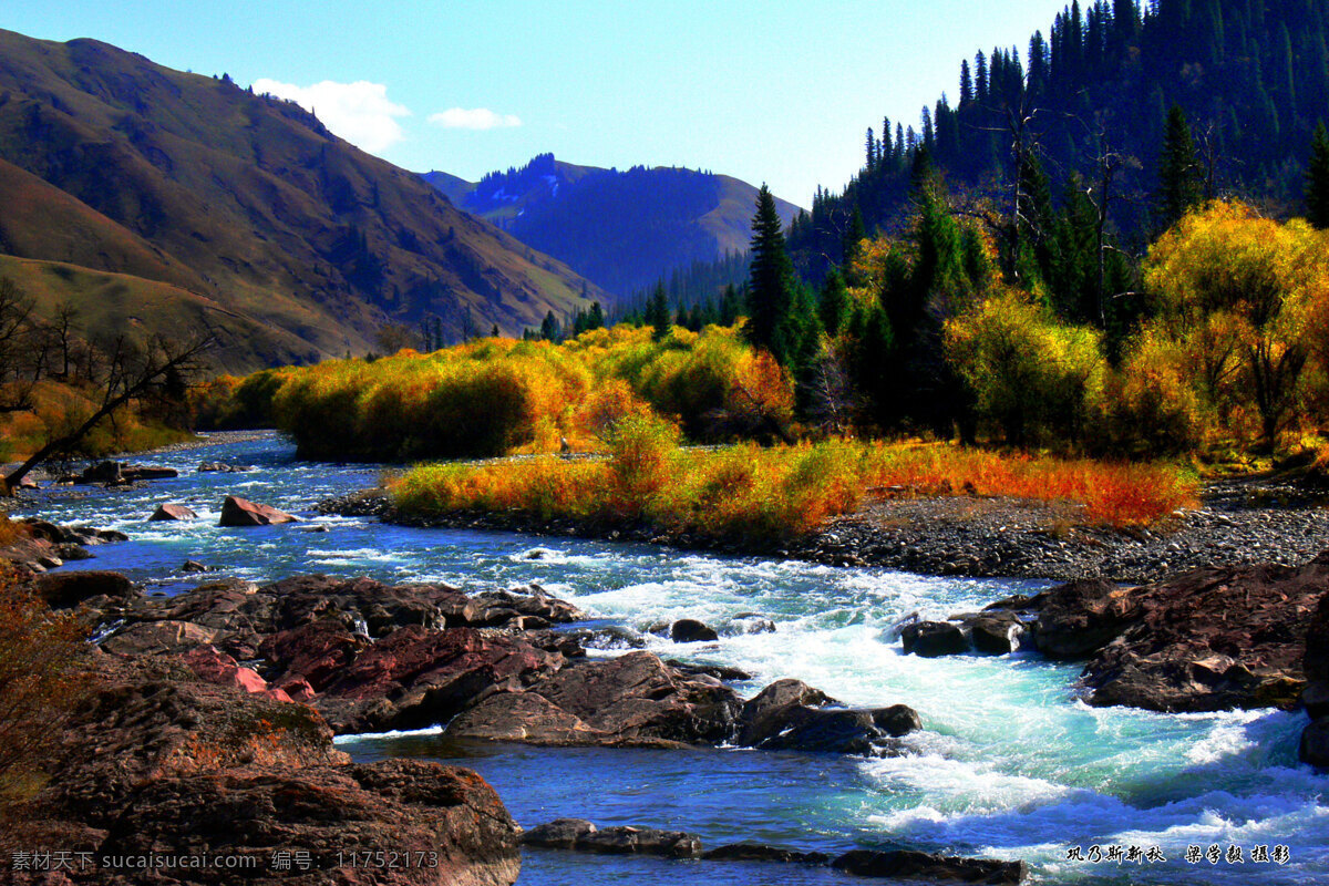 巩乃斯新秋 秋景 风景 山水 风景图片 山水风景 自然景观