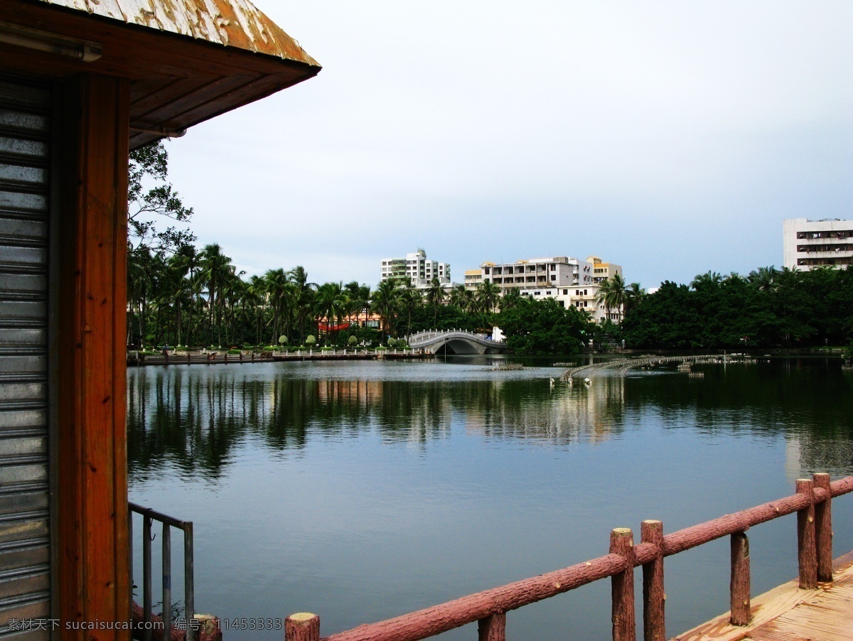 海口 东湖 湖畔 美景 海口公园 海南旅游 风景图片 旅游摄影 摄影图 风景 生活 旅游餐饮