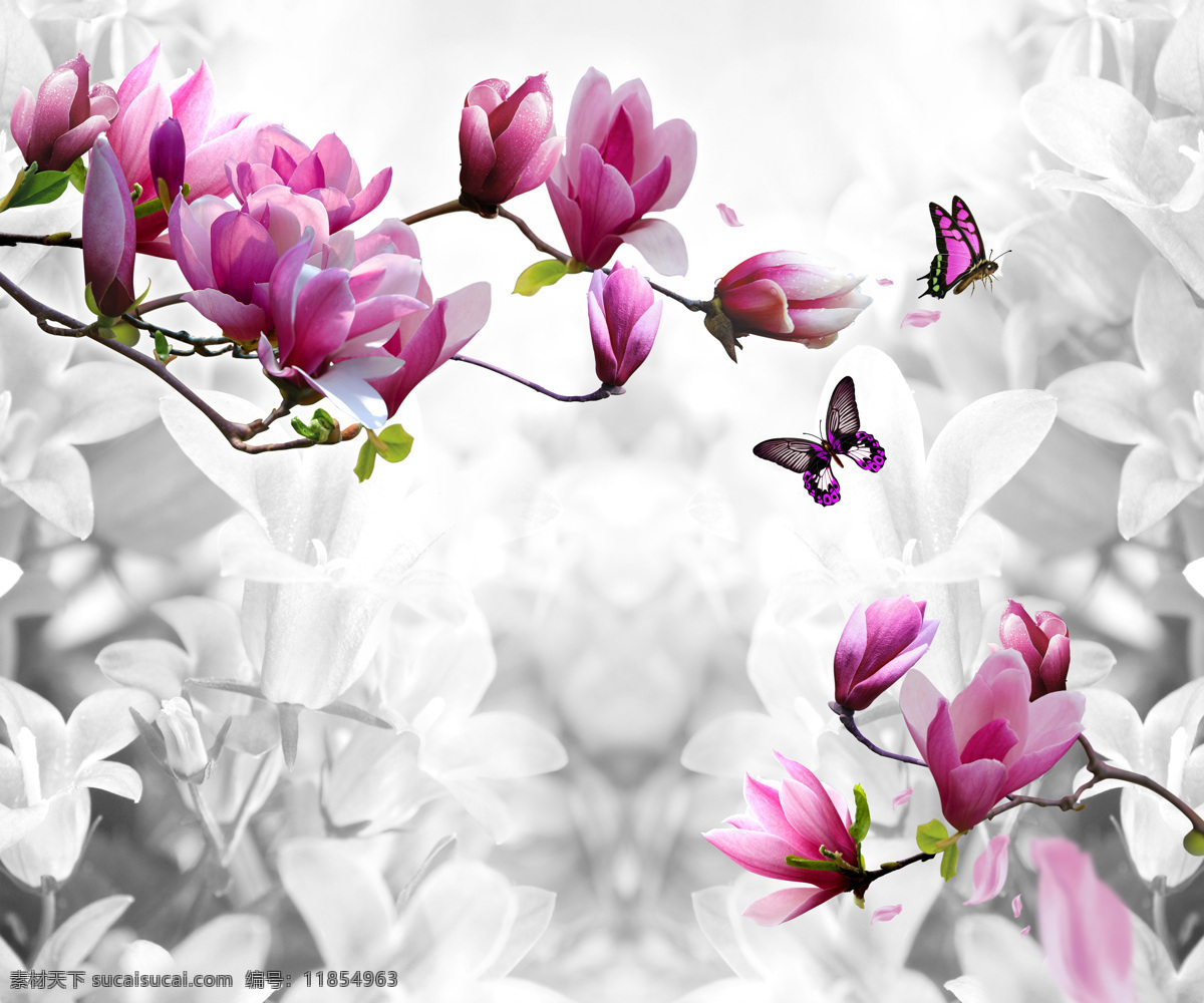 玉兰花 背景 图 粉色 蝴蝶 自然 清新 背景图 花卉 花朵 美丽 背景墙 装饰画 免费素材