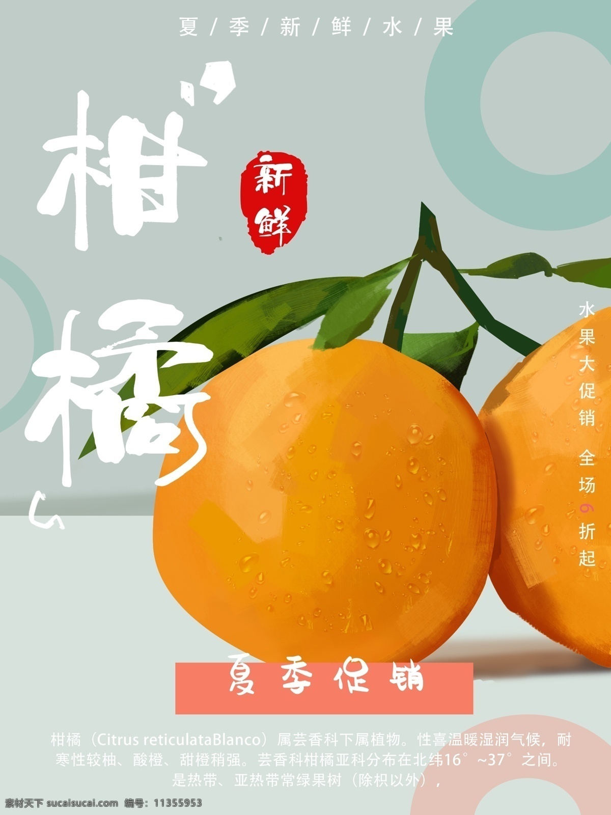 手绘 新鲜 水果 海报 促销 橘子 朋友圈 清新 夏季 宣传