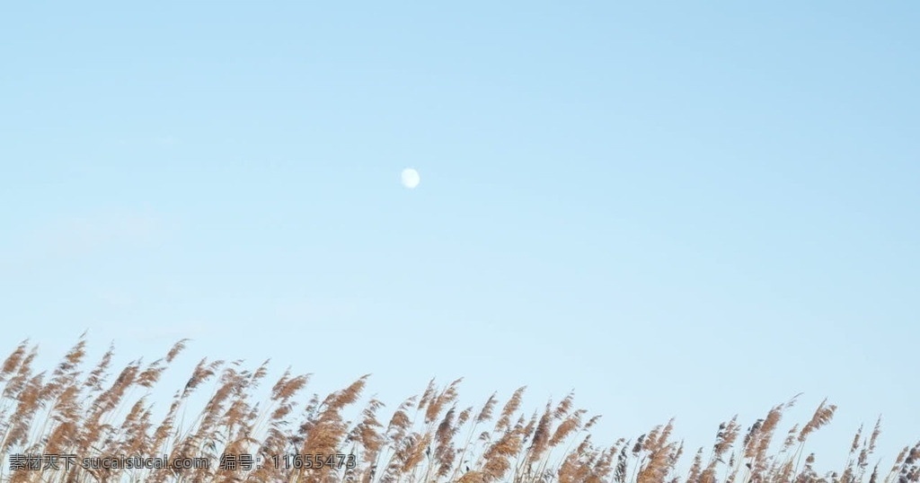 白天的月亮 自然 云 云流动 明月 夜 明月夜 片头 星空 极地 天空 月亮 日落 美景 白天 影视特效素材 影视编辑 源文件 mov