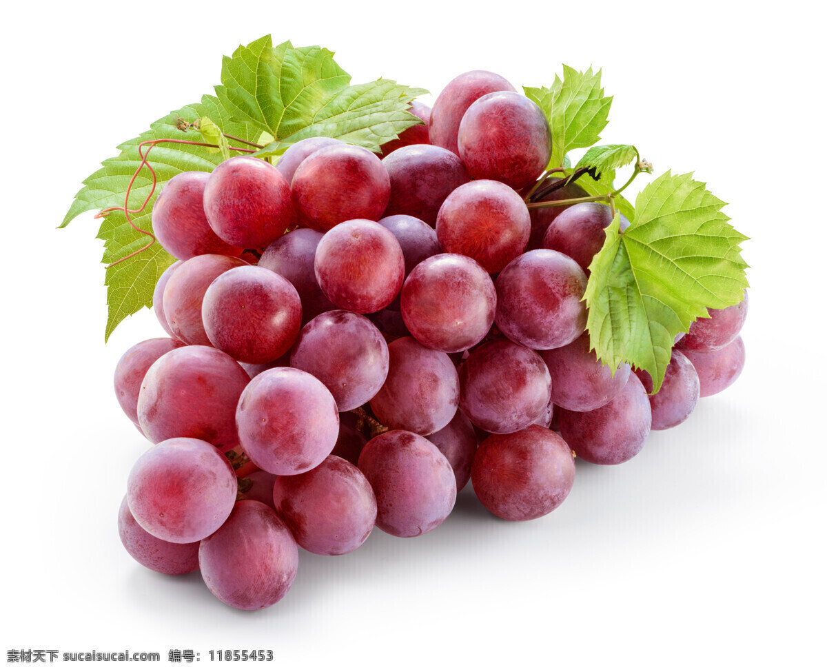 提子 葡萄 新鲜 红提子 水果 红葡萄 紫葡萄 进口红提 红提葡萄 生物世界