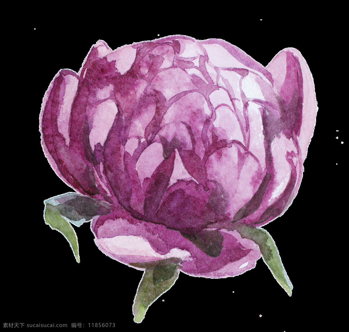 浪漫 紫色 玫瑰 免 扣 合集 绿色 花朵 花卉 插画 白色 粉色 花苞 花瓣 花束 绿叶 叶子 植物 卡通 装饰图案 透明素材 淘宝 手账素材