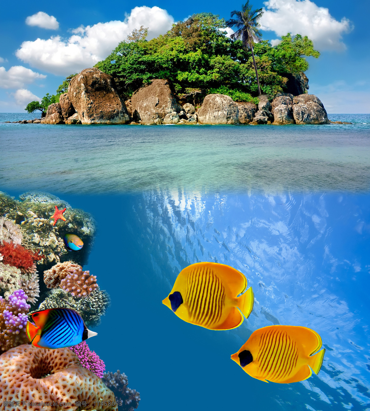 海岛 海底 世界 高清 海底世界 海洋馆 海鱼 海水 深海 水族 鱼类 鱼群 海洋生物 生物世界 动物 珊瑚 蓝天白云 风景 摄影图 高清图片 海洋海边 自然景观 蓝色