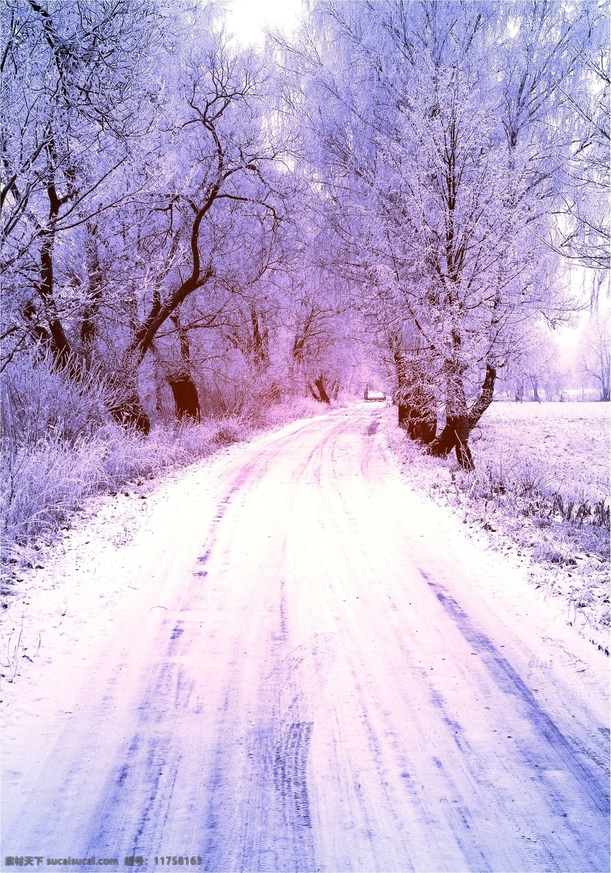 冬天 公路 雪景 冬天雪景 冬季 美丽风景 美丽雪景 白雪 积雪 风景摄影 树木 树林 道路 雪景图片 风景图片