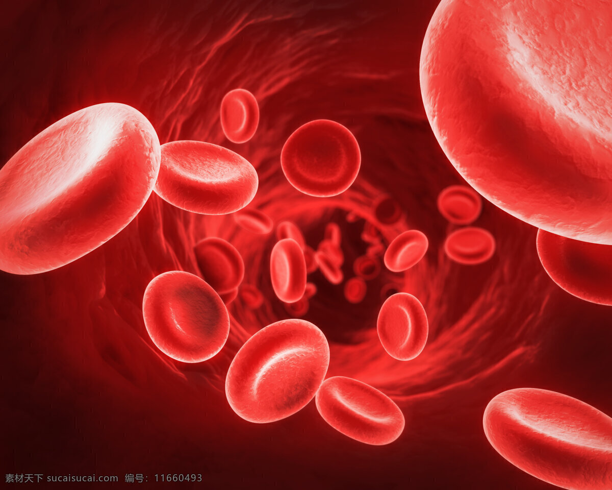 血红细胞 血管 3d 医学研究 血液 科学 显微状态 生活百科 医疗保健