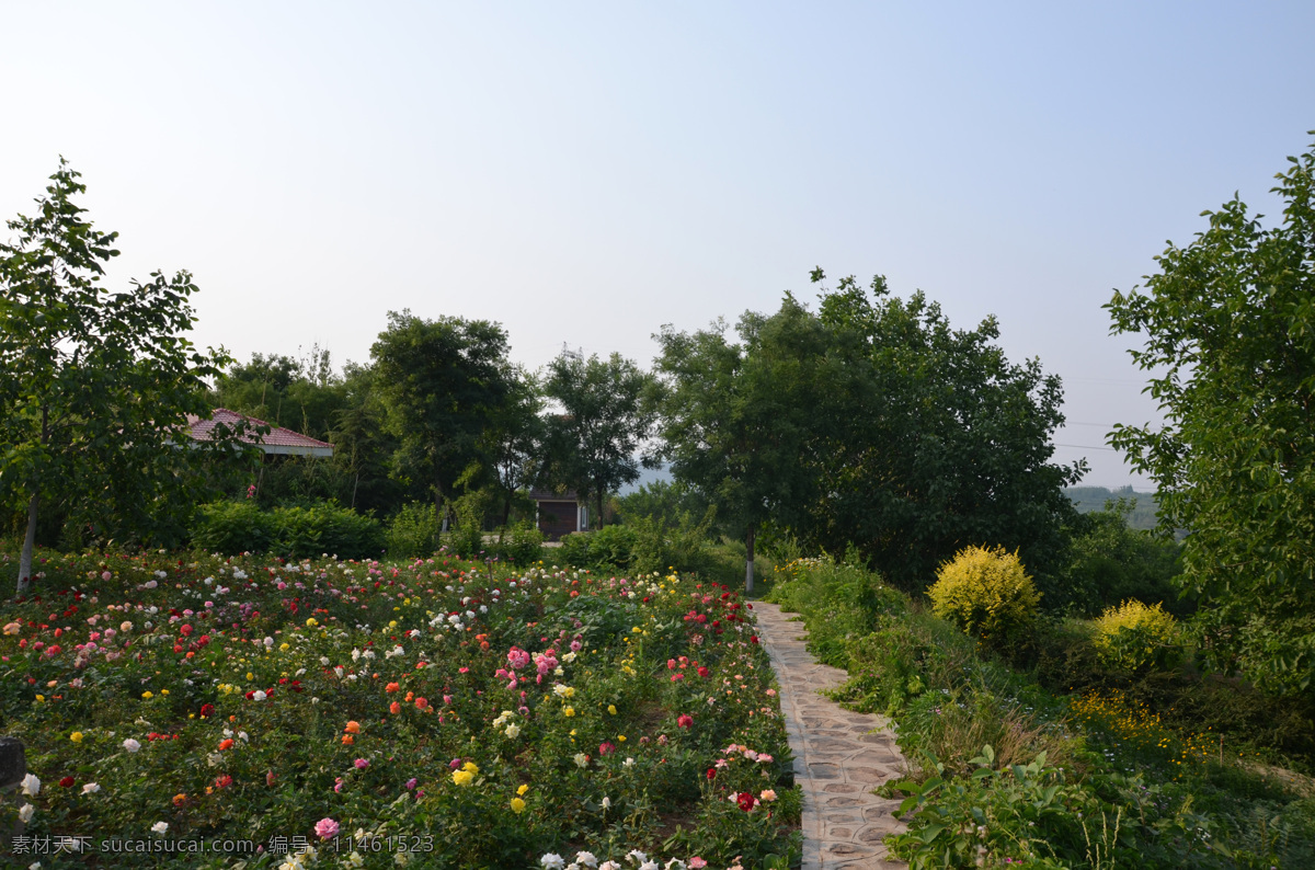 绿植 花卉 花艺 盒景 园艺 柳仙谷 旅游摄影 国内旅游