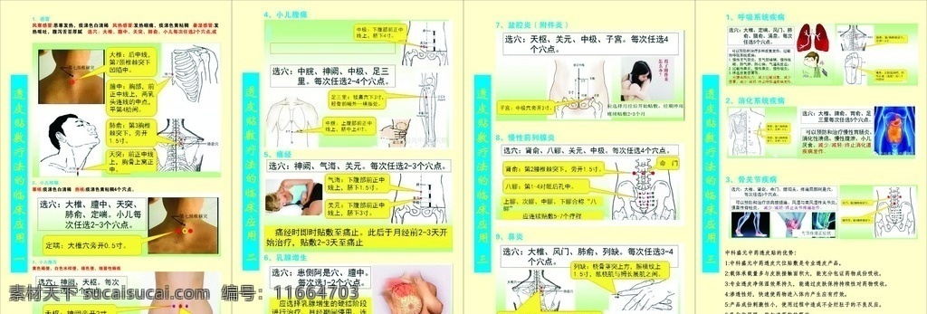 透皮贴敷疗法 透皮 贴敷 贴敷疗法 疗法 感冒 图例 关节 老中医 中医 中医疗法 中医图案 李时珍 花边 条幅 制度 中药 老字号 传统手法 针灸 临床应用
