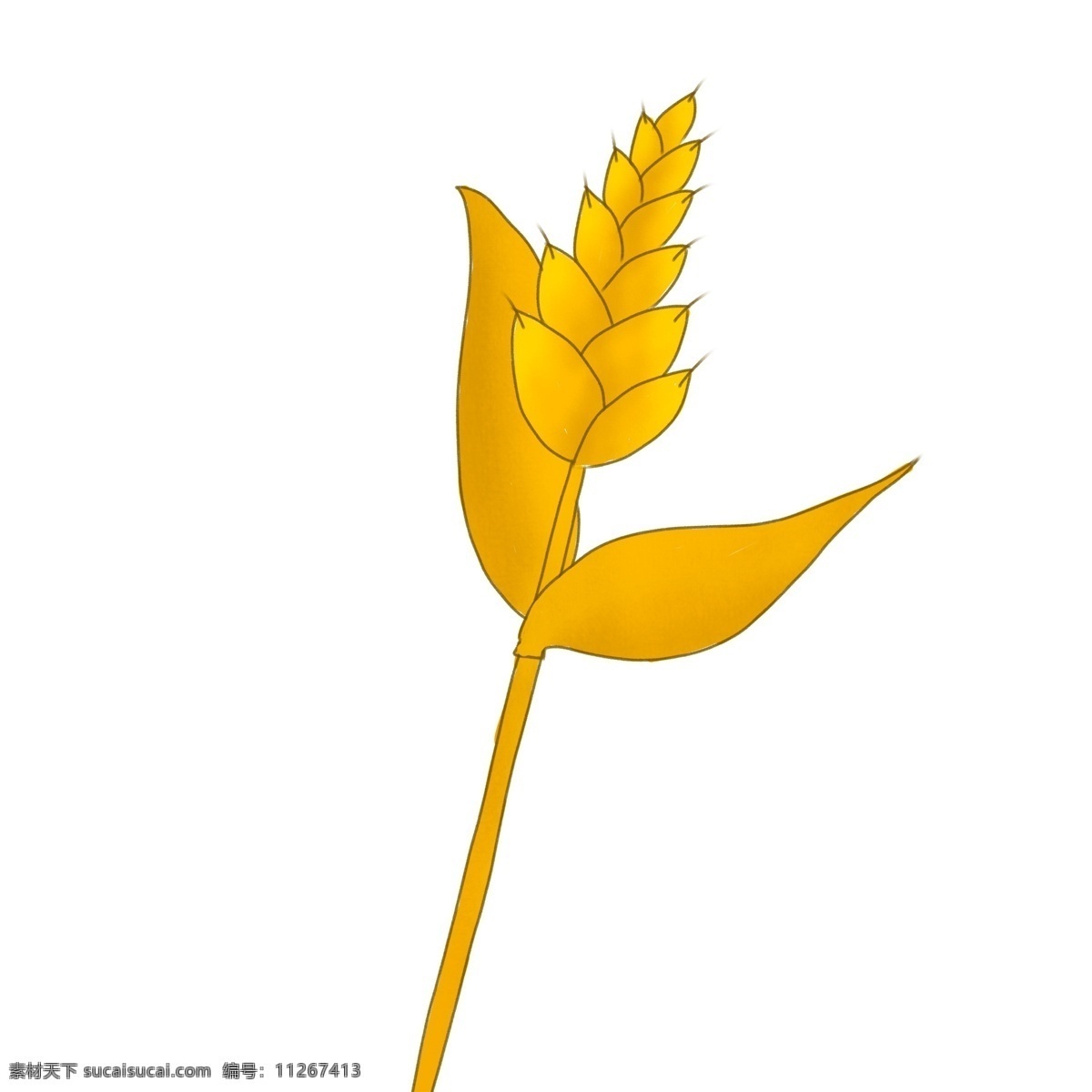 金色 小麦 植物 插画 黄色 小满 卡通 彩色 小清新 创意 手绘 绘画元素 现代 简约 装饰 图案