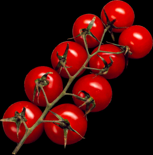 红色 小 番茄 免 扣 小番茄 柿子 西红柿 小西红柿 免扣 食物 美味 营养 健康 多汁的 生物世界 蔬菜