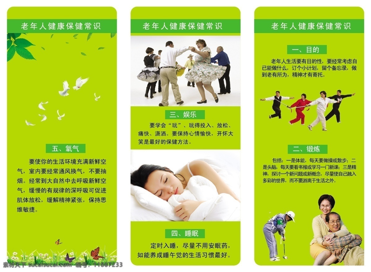 老年人 健康保健 常识 老年 三折页 睡觉 氧气 娱乐 锻炼 目的 绿色 蝴蝶 叶子 跳舞 画册设计 广告设计模板 源文件