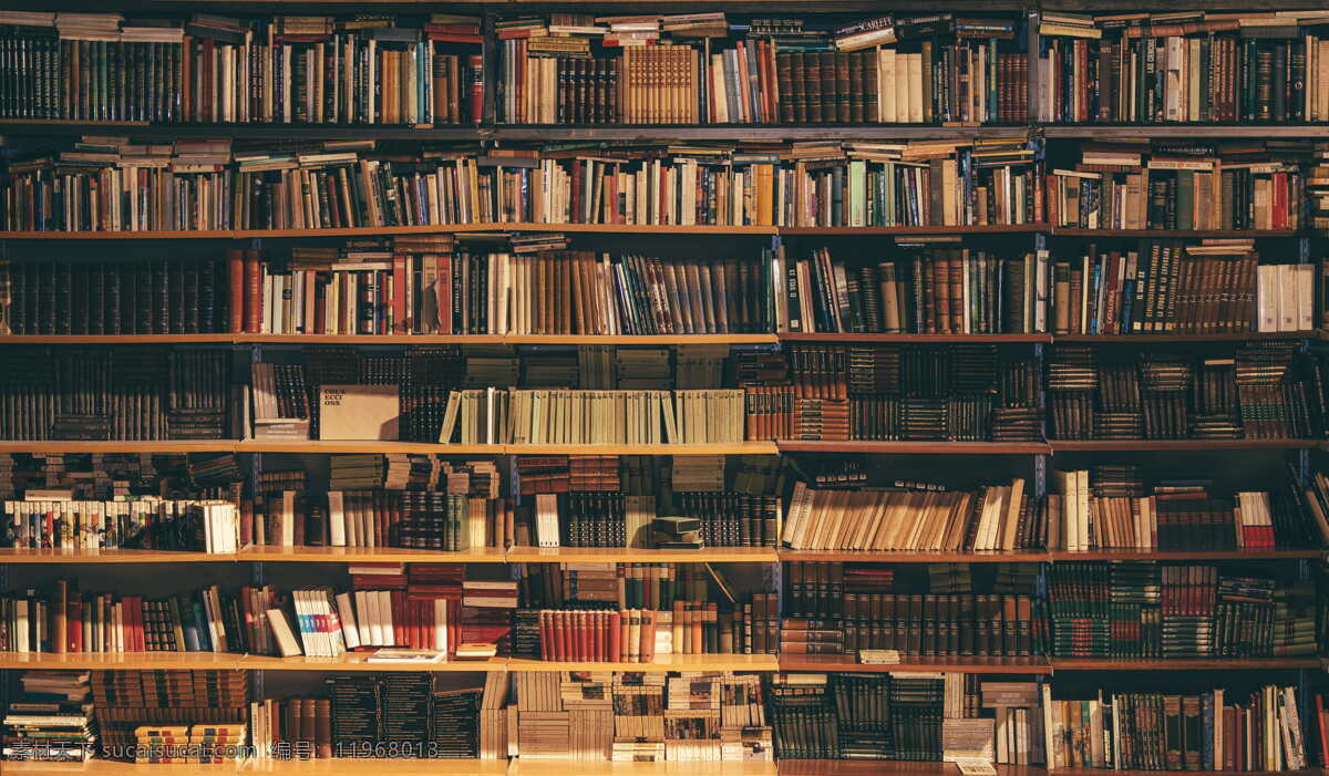 书架 上 图书 书架上的图书 书籍 书本 自习室 阅览室 图书馆 藏书 知识的海洋 书店 知识 工具书 古籍 古书 生活百科 学习办公
