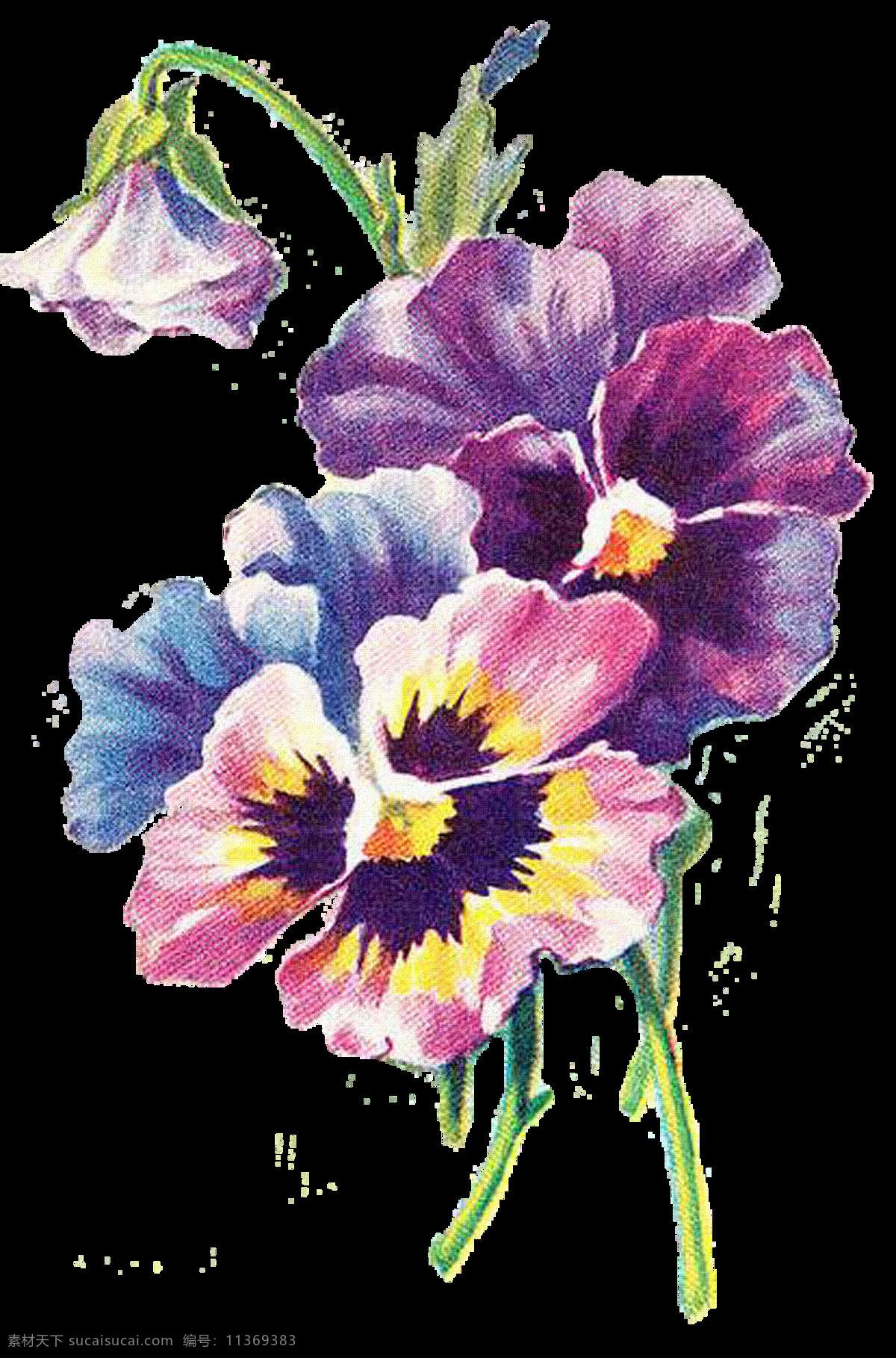 复古花朵 复古 花卉 设计素材 模板下载 复古花卉 手绘花朵 手绘花卉 复古紫色花朵 复古蓝色花朵 手绘植物 复古植物 静物花卉 绘画花朵 绘画书法 文化艺术 花朵素材
