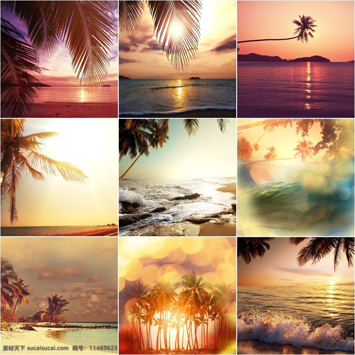 海边 美景 海滩 椰子树 海浪 风景 自然 山水风景 风景图片