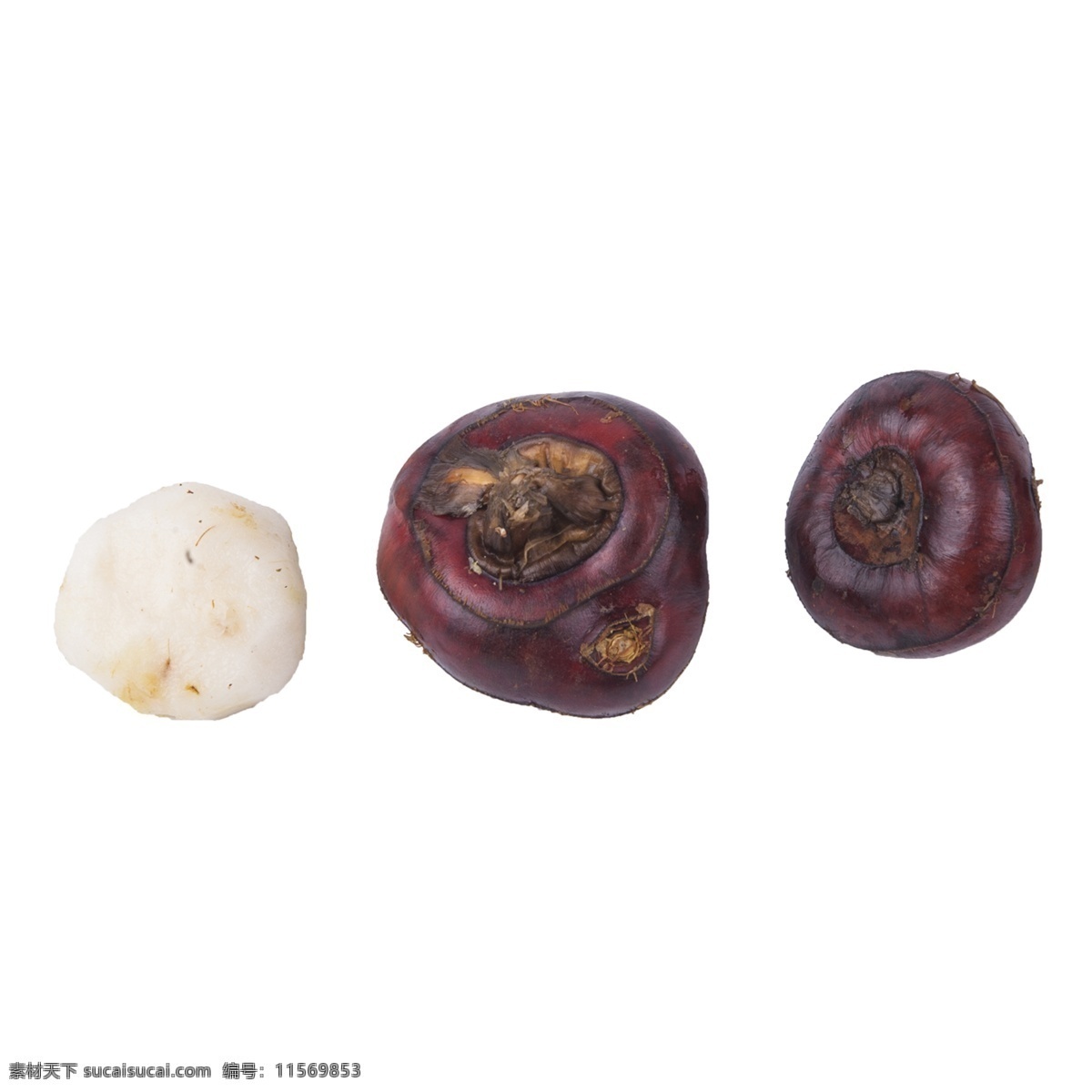 马蹄 免 抠 三个马蹄 马蹄免抠 新鲜水果免抠 新鲜水果 需要 薄 皮 水果 新鲜的马蹄