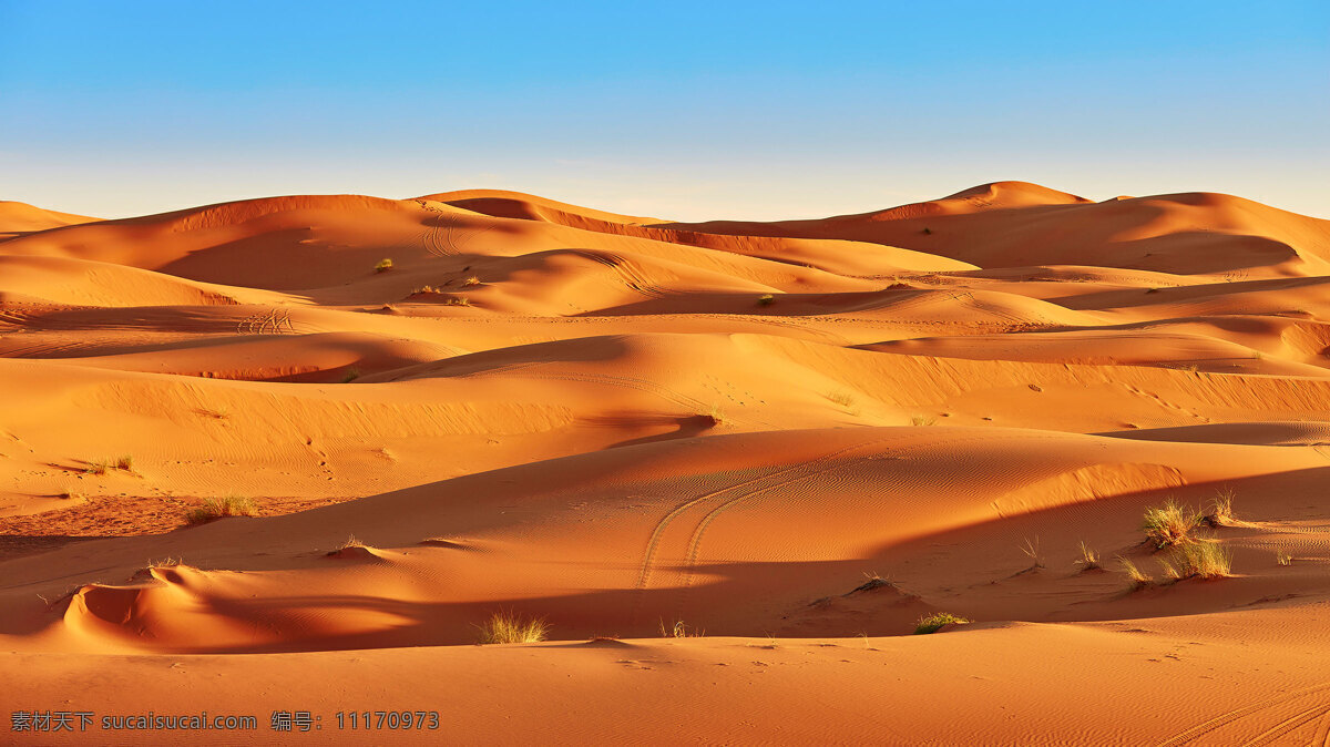 骆驼 驼队 大漠 戈壁 沙丘 骆驼队 丝绸之路 沙丘沙山 沙漠风光 西域文化 驼铃 旅游