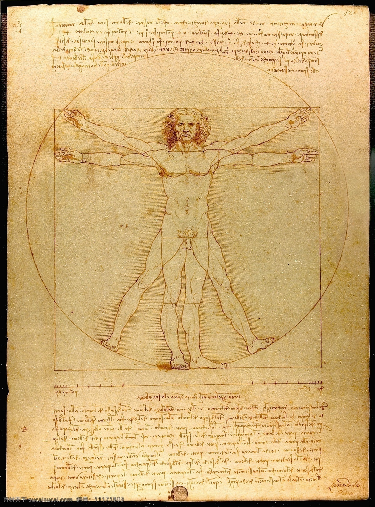 维特鲁威人 达芬奇名画 艺术品收藏 达芬奇 名画 素描 男性 人体 文字 绘画书法 文化艺术