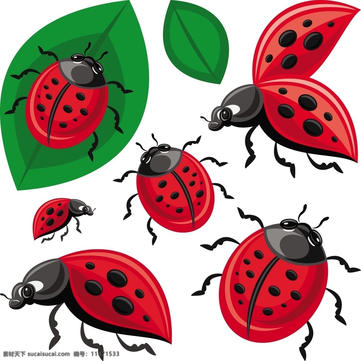 卡通红色瓢虫 卡通 昆虫 红色 七星 瓢虫