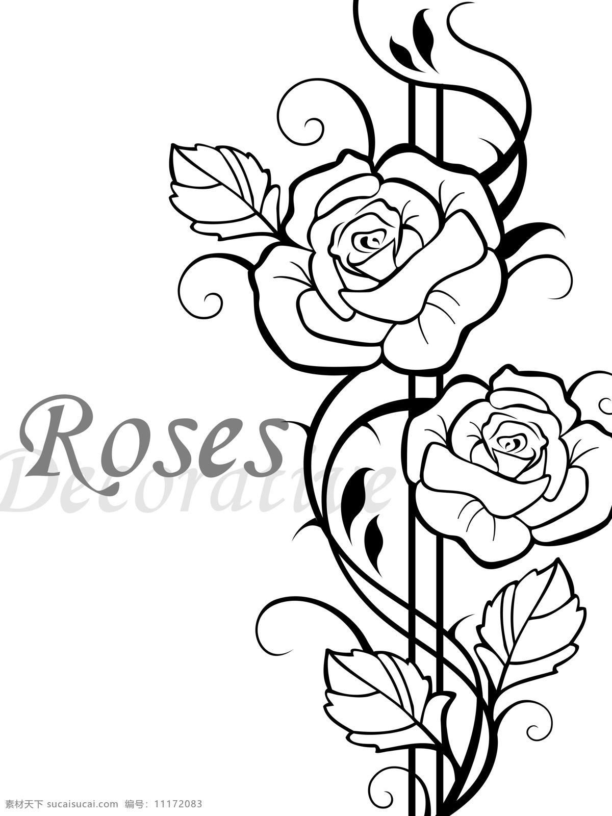玫瑰 roses 2朵玫瑰花 妖娆 带刺的玫瑰 黑白 线条 移门图案 底纹边框
