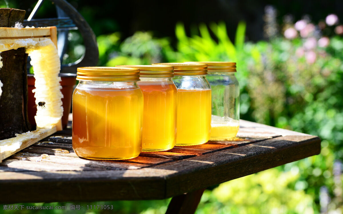 天然蜂蜜 天然 蜂蜜 饮品 蜂巢 甜品 蜜蜂 蜂浆 蜂穴 蜂窝 花蜜 采蜜 餐饮美食