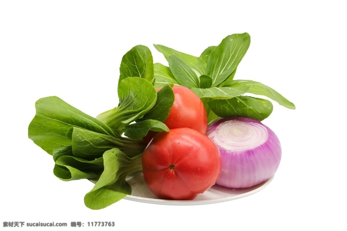 蔬菜图片 蔬菜 有机蔬菜 蔬菜素材 西红柿 菠菜 胡萝卜 灯笼椒 白菜