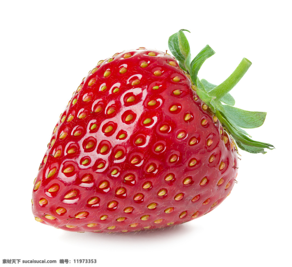新鲜草莓 牛奶草莓 大草莓 草莓图片 美草莓 红草莓 水果 生物世界