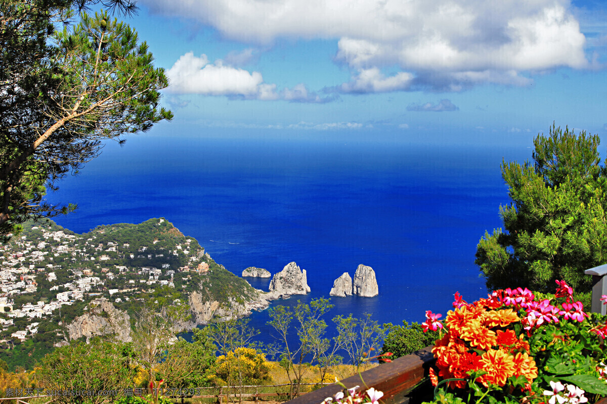 大海 边上 美景 蓝天 白云 树 鲜花 花朵 石头 山 自然风光 大海图片 风景图片