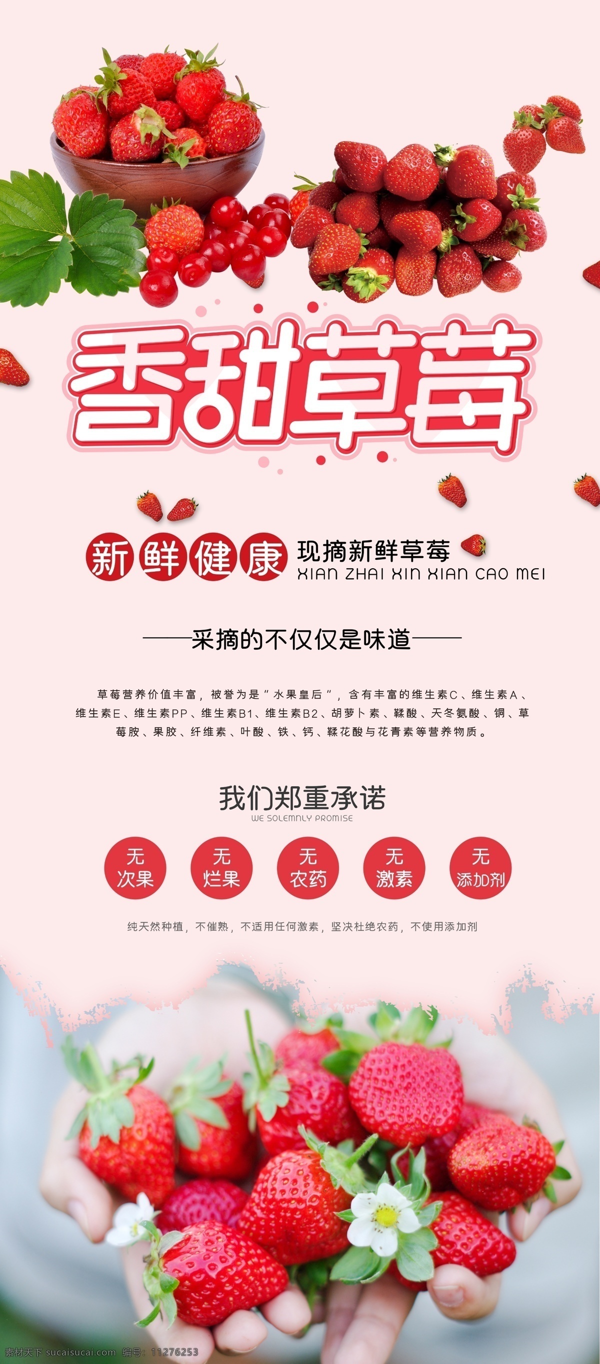 草莓海报 草莓采摘 采摘草莓 草莓熟啦 水果节 草莓季 草莓园 新鲜草莓 草莓采摘园 草莓水果 水果草莓 草莓文化 草莓展板 水果店草莓 草莓灯箱 草莓宣传 草莓批发 批发草莓 草莓基地 草莓大棚 绿色草莓 草莓节 草莓果 草莓照片 采摘园 超市草莓 草莓素材 草莓熟了 美味草莓 草莓图片