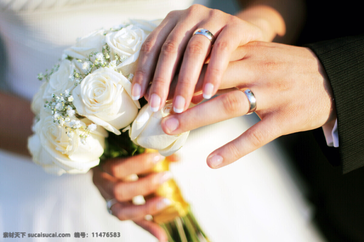 白 玫瑰 情侣 新婚夫妇 花朵 鲜花 白玫瑰 戒指 人物摄影 情侣图片 人物图片
