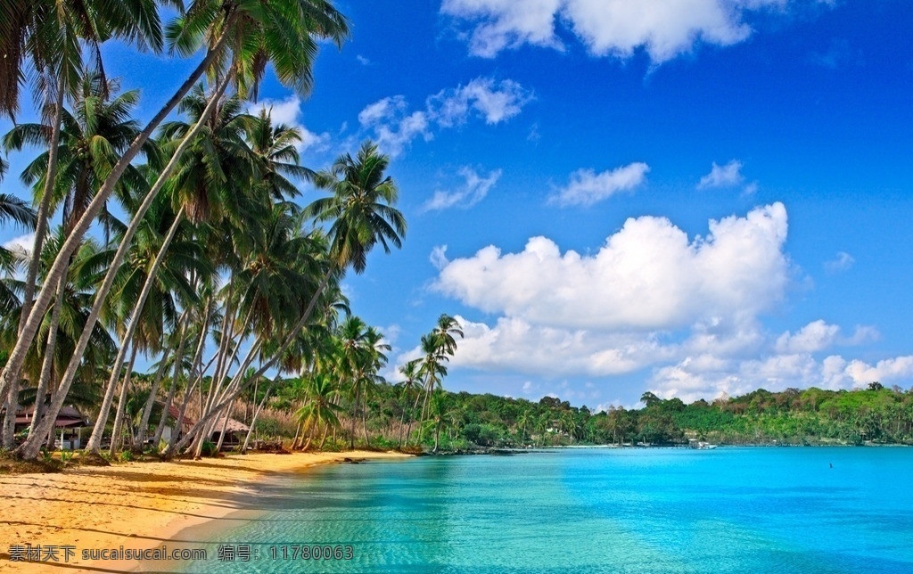 大海 天空 蓝天 白云 椰子树 云彩 自然 大自然 美景 自然风景 自然景观