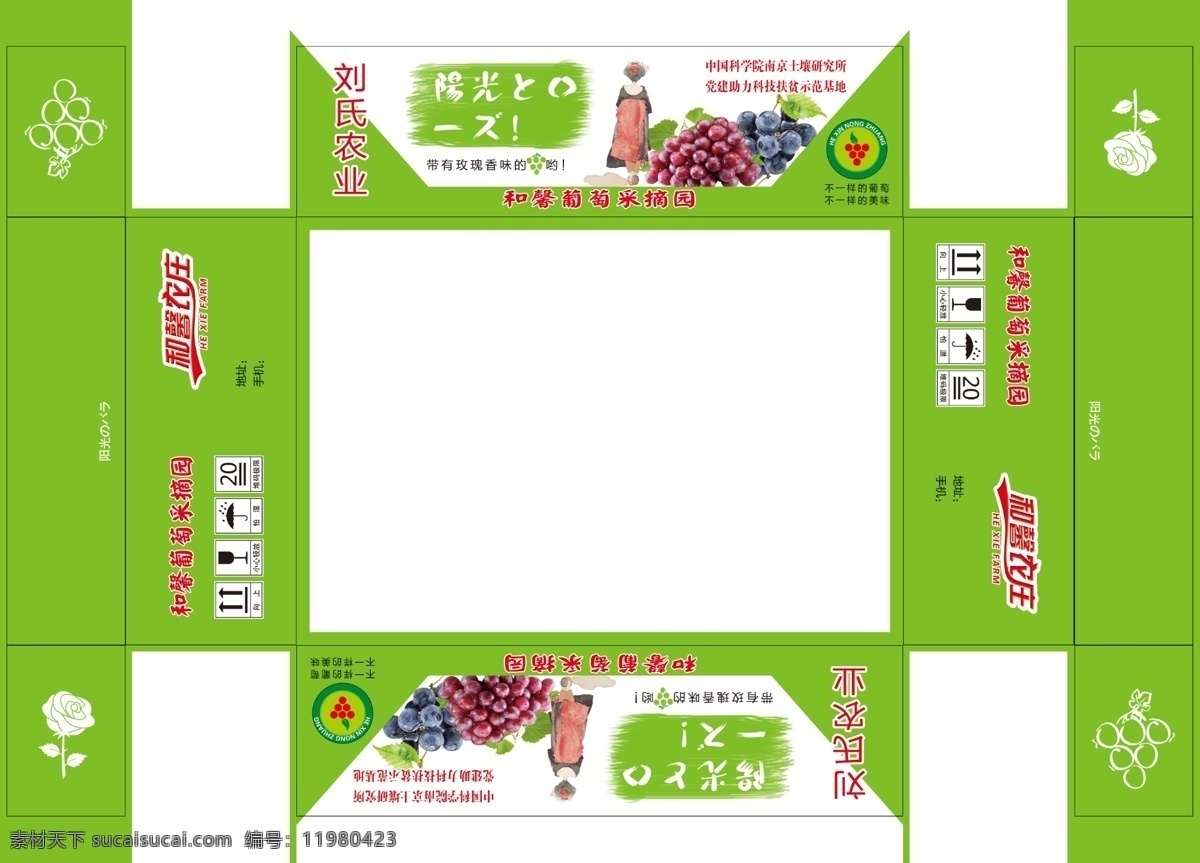 阳光 玫瑰 葡萄 分层 图 阳光玫瑰 刘氏 红葡萄 紫葡萄 提子 日本和服 和鑫葡萄 分层图 食品包装 包装设计
