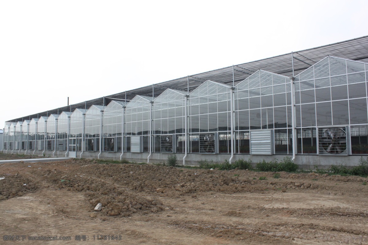 园艺 设施 玻璃温室 连栋温室 园区规划 生物世界 花草