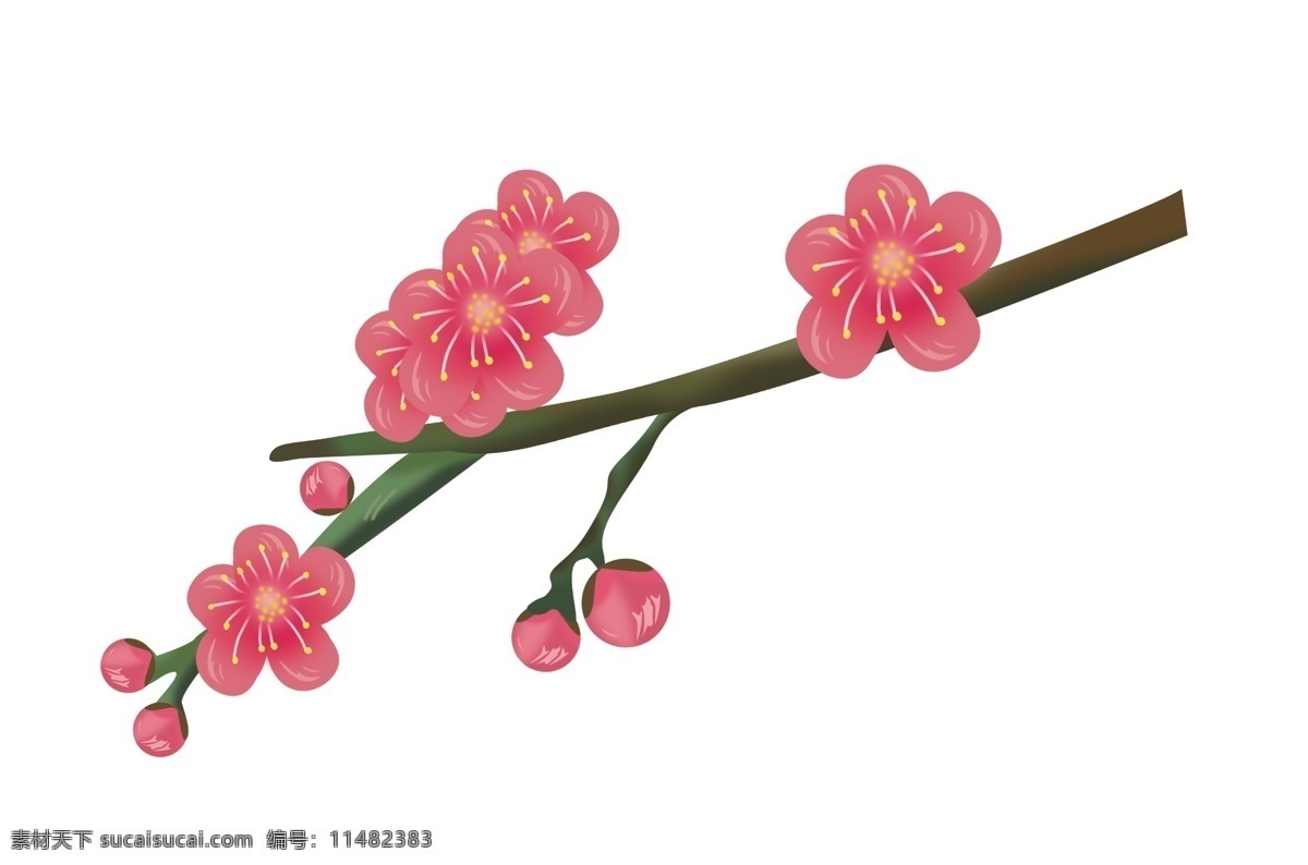 漂亮 粉色 樱花 插画 樱花朵朵开 漂亮的樱花 绿叶 植物 花卉 粉色樱花