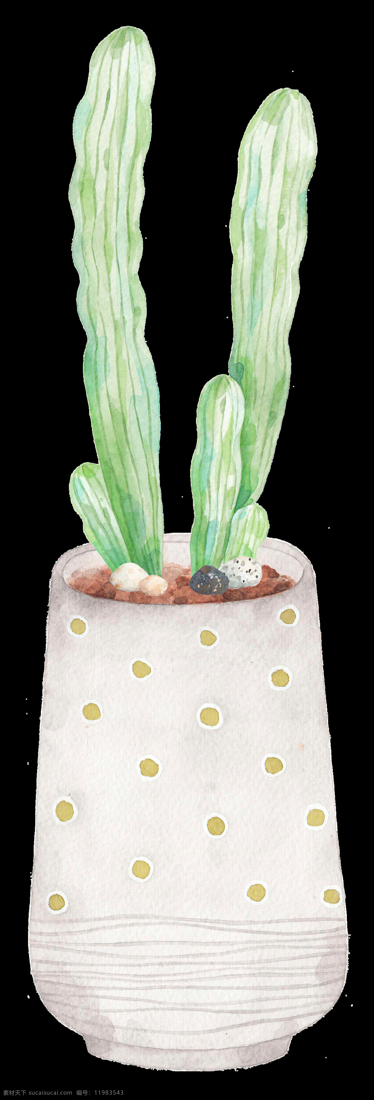 手绘 盘龙 神 柱 透明 绿色 免扣素材 盘子 水彩 透明素材 土壤 小石头 圆点 植物 装饰图案