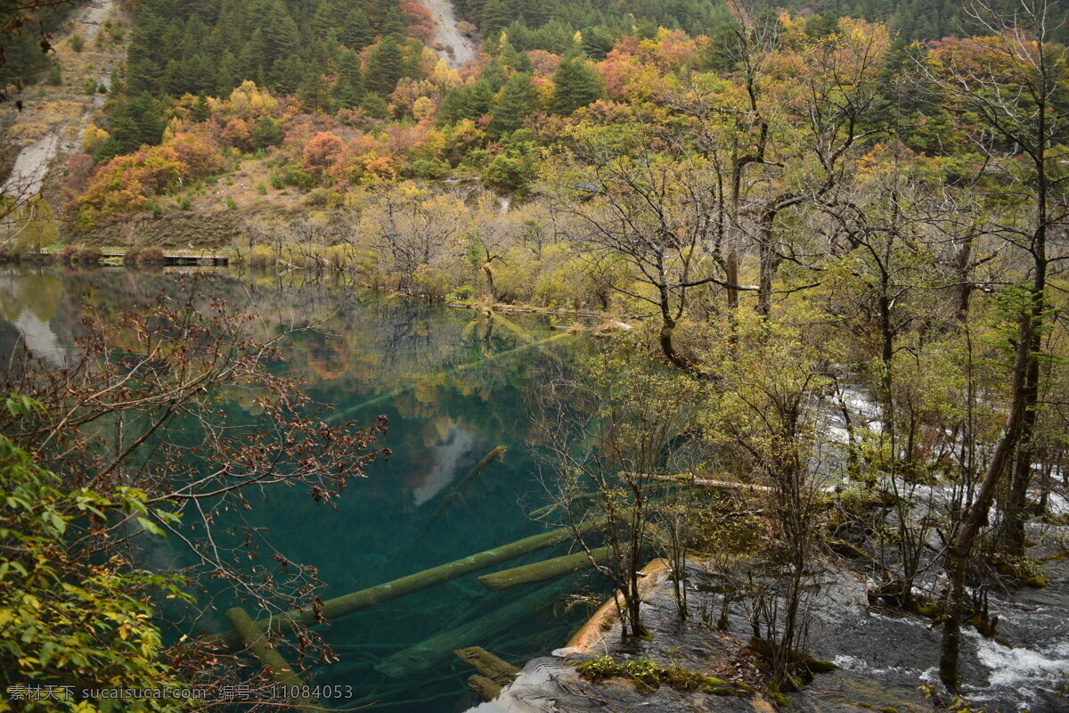 四川九寨沟 九寨沟 九寨沟风光 山水 山水风光 九寨沟风景 秋天的九寨沟 九寨沟景色 九寨沟瀑布 溪水 芳草海 九寨沟芳草海 九寨沟山水 长海 九寨沟旅游 自然风光 雪山 九寨沟雪山 沃洛色莫 雪山的水 四川风景 四川景点 自然景观 风景名胜