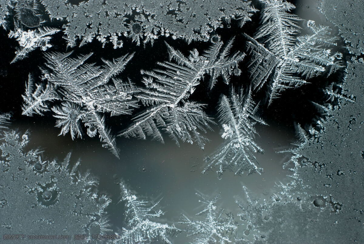 雪花 冰裂 冬天 黑色