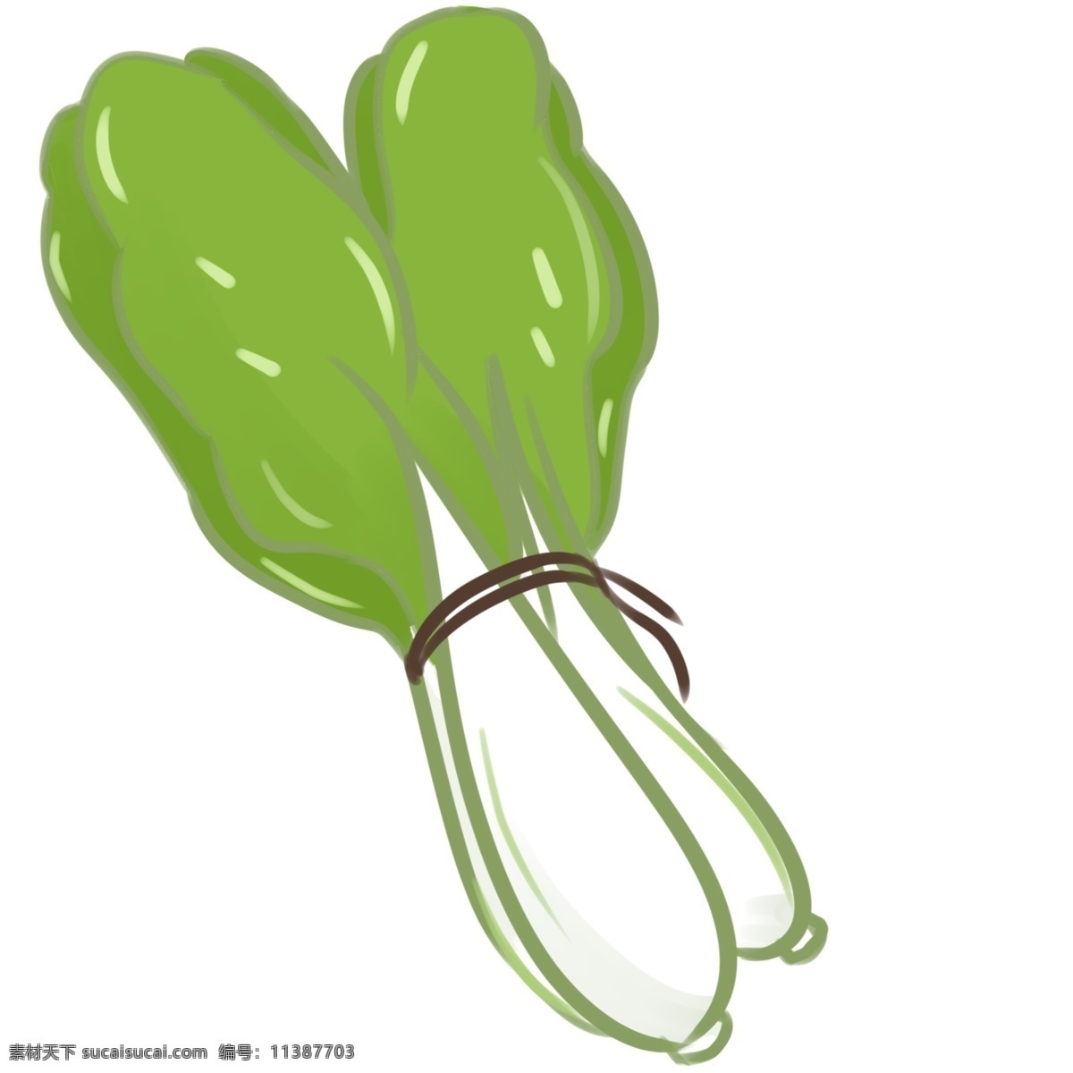 捆 青菜 小白菜 手绘 线性 绿色 蔬菜 植物 时令蔬菜 墨绿色 线条 黄色 浅绿色 装饰