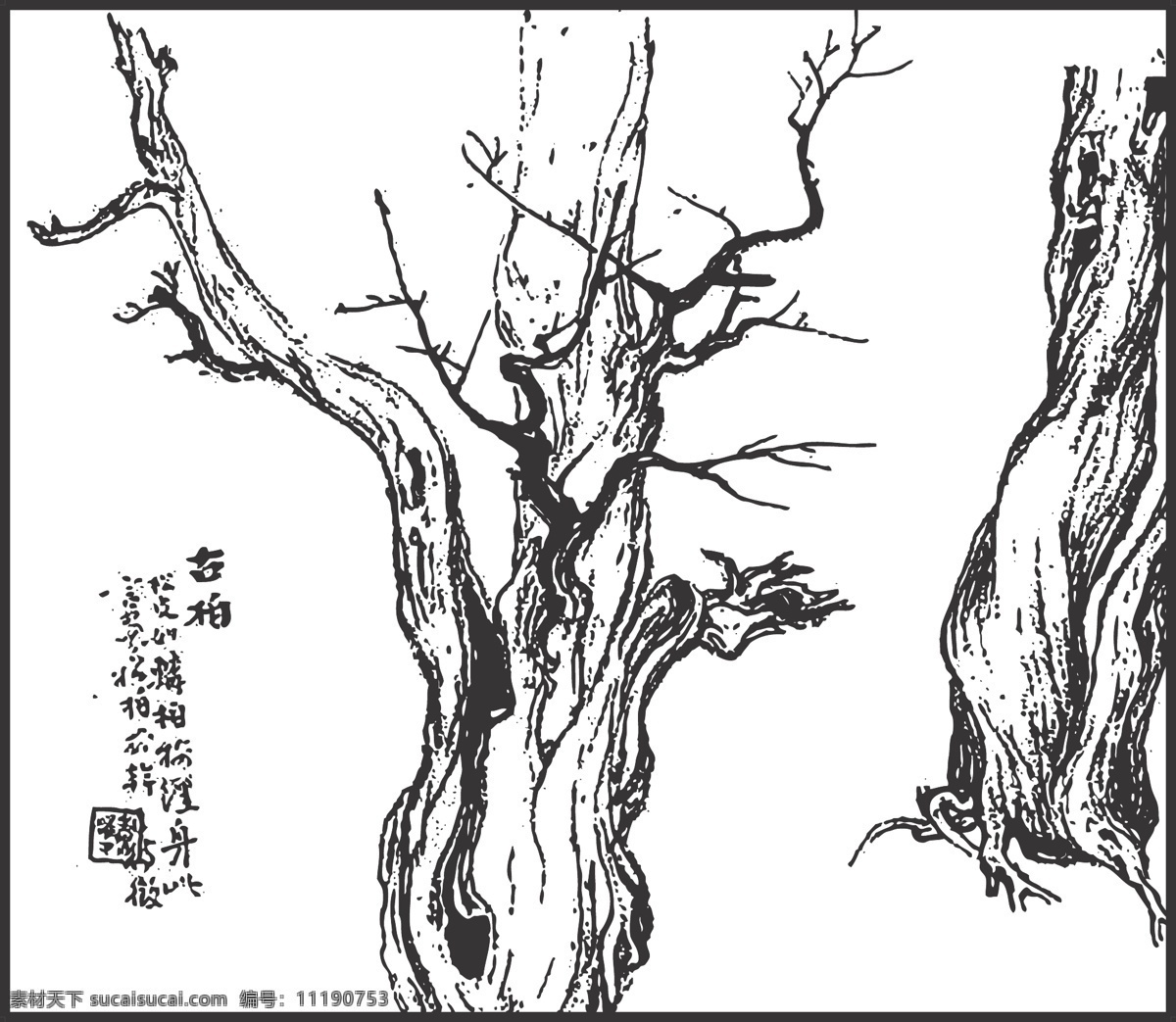 古柏 线条 矢量 装饰 插画 白描 树木 植物 树白描图 生物世界 树木树叶
