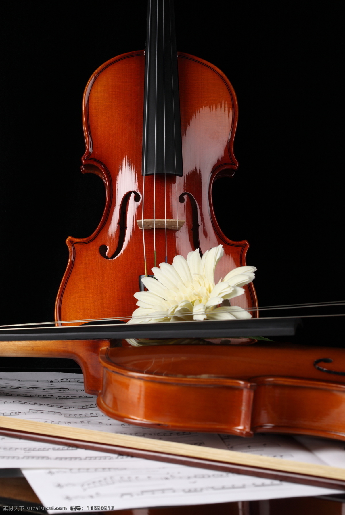 小提琴与鲜花 小提琴 乐谱 音符 中提琴 文化艺术 音乐 花 鲜花 影音娱乐 生活百科 黑色